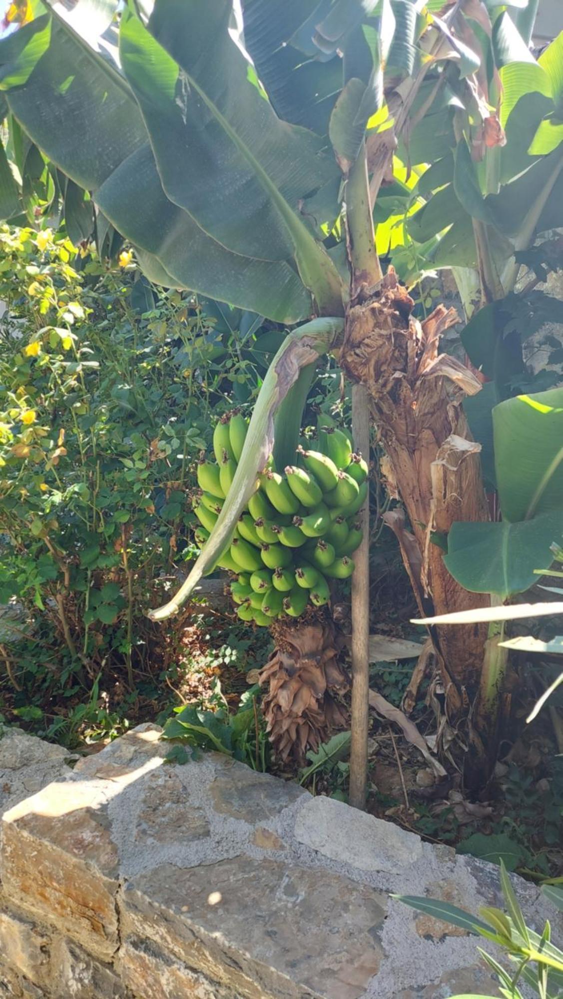 Istron Avra Appartement Kalo Chorio  Buitenkant foto